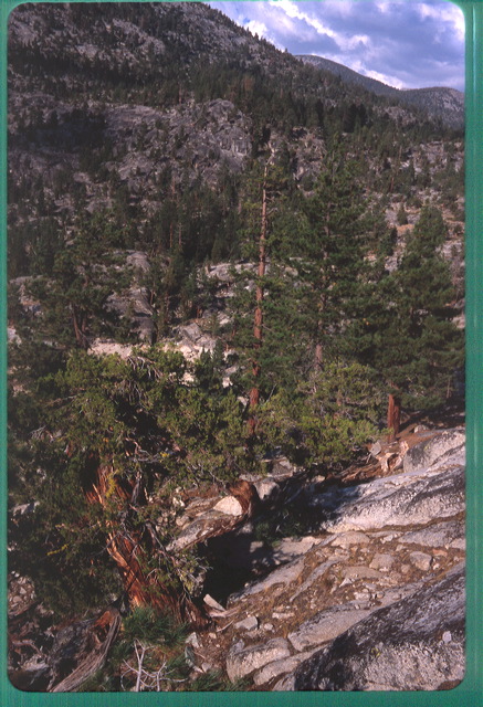 6911-07.jpg